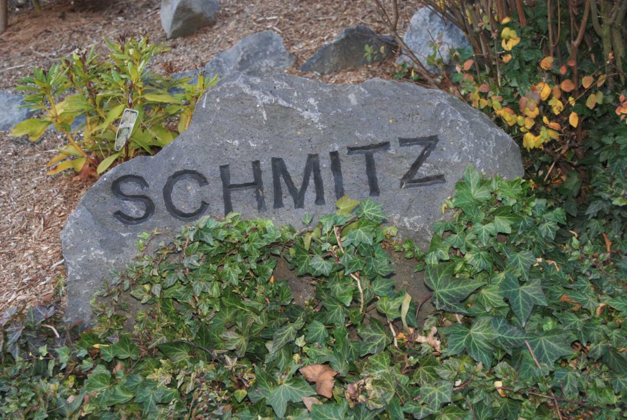Anschau Ferienwohnung Schmitz מראה חיצוני תמונה